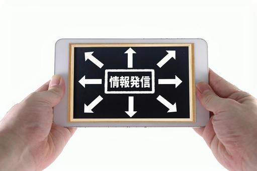 港区女子の実態を調査！あるあるな特徴から悲しい成れの果てまで