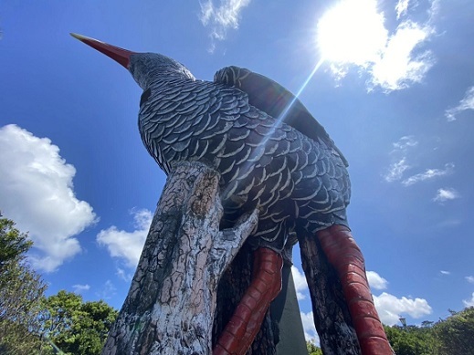 【連載】沖縄北部のおすすめ観光スポット！幻の鳥に出会えるチャンスも