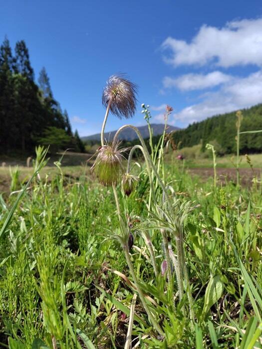 兵庫県の最高峰 氷ノ山を望む棚田とハチ高原オートキャンプ場で自然に浸る