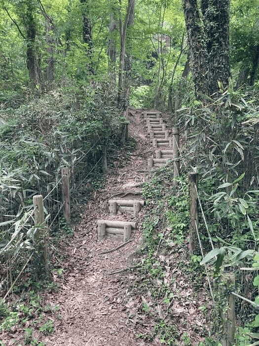 【八王子】とても公園とは思えない、しっかり山歩きを楽しめる「長沼公園」を歩く