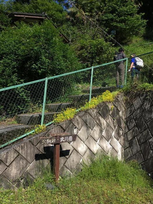 【奥武蔵】武川岳～焼山～二子山 縦走登山ルート