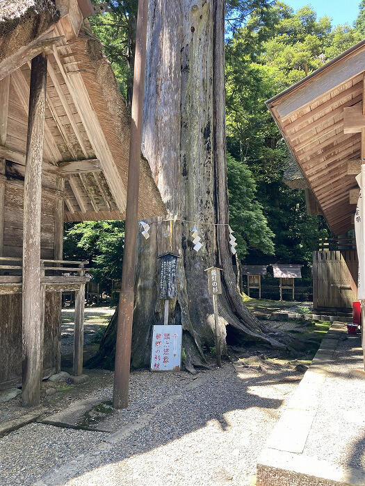 ここが伊勢神宮のルーツ！？京都にある「元伊勢三社」をめぐろう