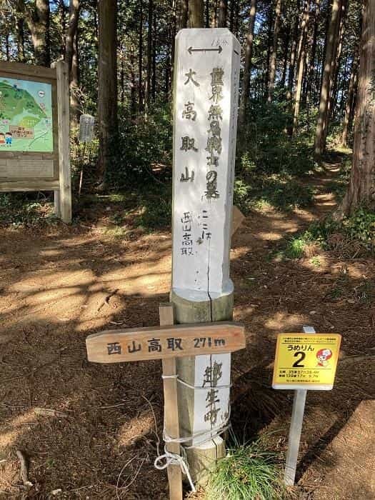 【埼玉県・大高取山】低山でありながら6つの眺望が楽しめる穴場の山