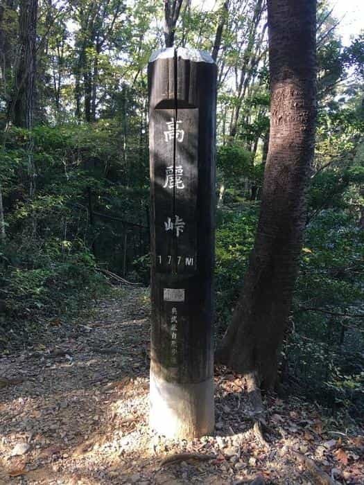 【埼玉県】飯能ハイキング・初心者向けコース（天覧山・多峯主山）