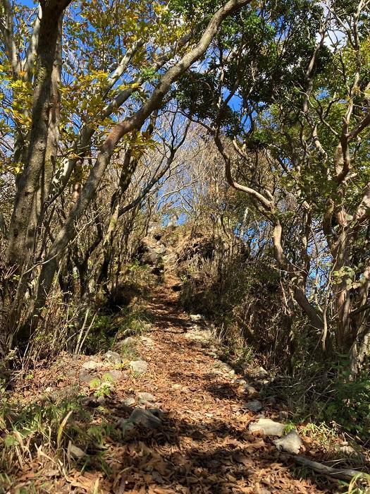 【日帰り登山】富士山を支える山・愛鷹（あしたか）山塊に登る