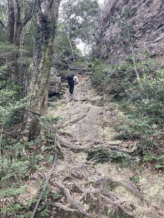 【対馬】世界の山々を登頂したクライマーも「この山は面白い！」といった白嶽（しらたけ）とはどんな山？