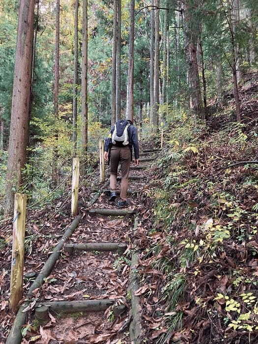 【群馬県】面積の約95%が森林という、自然に溢れた上野村で私が受け取ったものとは？