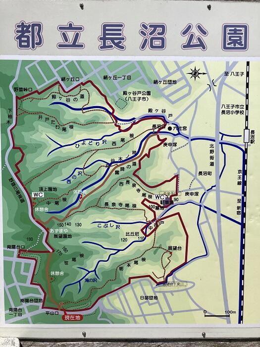 【八王子】とても公園とは思えない、しっかり山歩きを楽しめる「長沼公園」を歩く