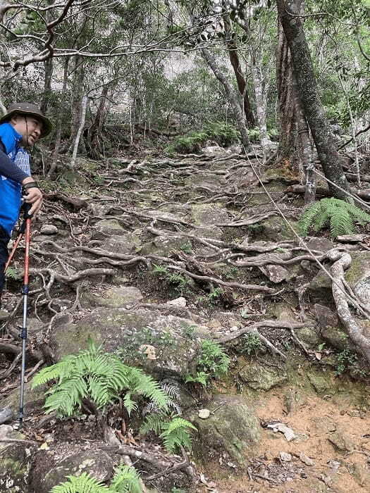 【対馬】世界の山々を登頂したクライマーも「この山は面白い！」といった白嶽（しらたけ）とはどんな山？