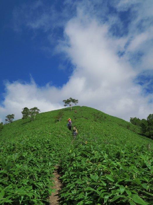 北海道・支笏湖畔のイチャンコッペ山は登山初心者におすすめ！