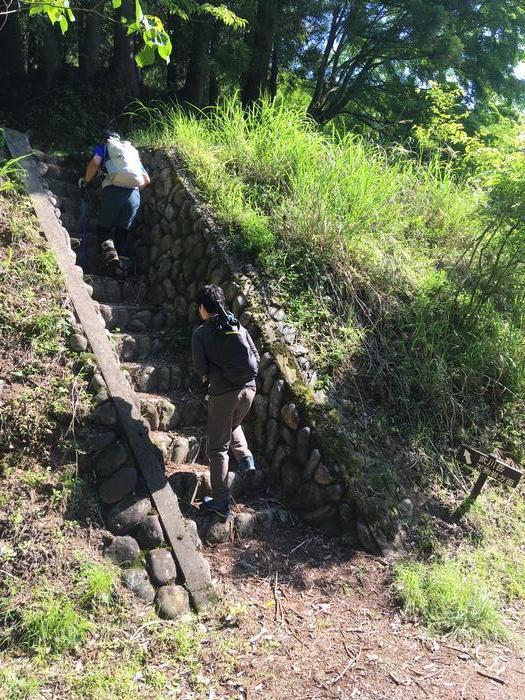 【奥武蔵】武川岳～焼山～二子山 縦走登山ルート