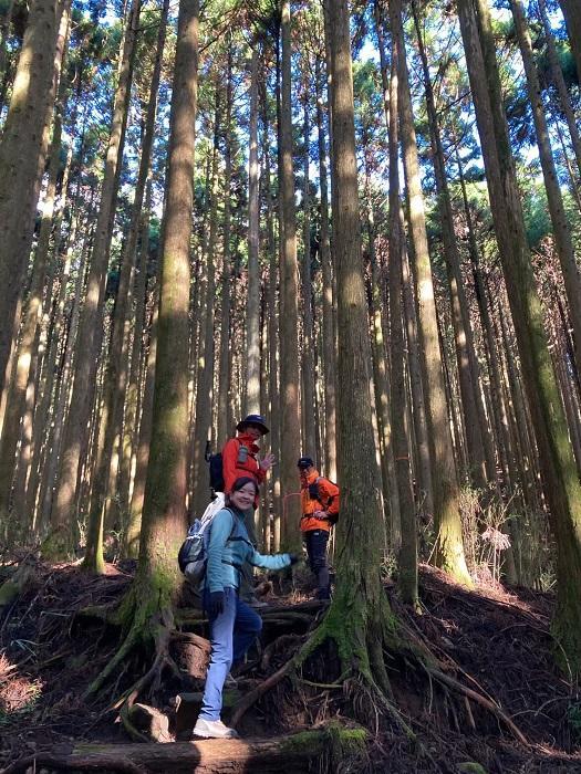 【日帰り登山】富士山を支える山・愛鷹（あしたか）山塊に登る