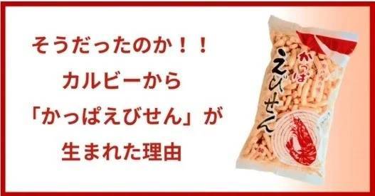 お酒に合う人気の絶品シリーズ初のファン共創品　素材の絶妙な組み合わせで、辿り着いた絶品の味わいが再登場『絶品かっぱえびせん 瀬戸の塩と帆立貝柱味』