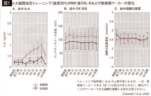 高齢になっても筋肥大が得られる最適なトレーニング法