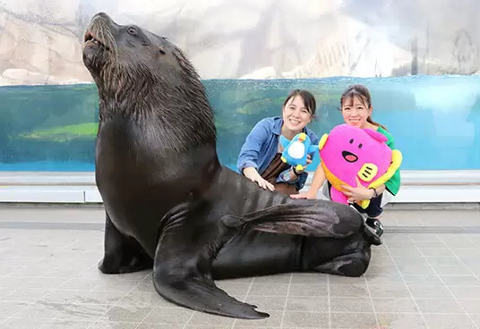 仙台うみの杜水族館が「たべっ子どうぶつ」コラボ！ 東北エリア初のイベント