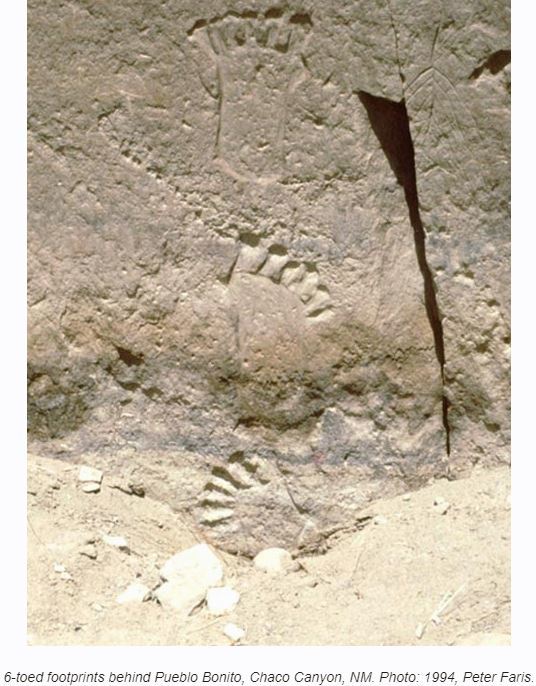 なぜ世界各地の古代文明には“6本指の表現”が多いのか！巨人伝説と未知のつながりも！？