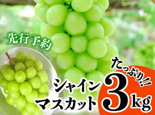 【2021年ふるさと納税】ぶどうランキング！還元率やコスパで比較