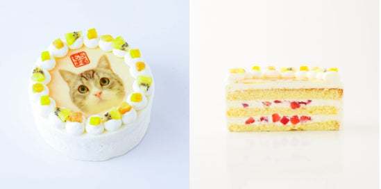 『もちまる日記』×Cake.jpコラボ！可愛らしい『もち様』のケーキ缶、ホールケーキ、チョコレートが登場！