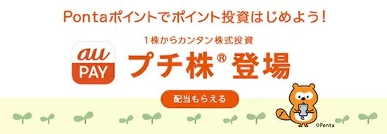 初心者～中級者向け本格「ポイント投資」まとめ　「ポイント運用」からのステップアップにも