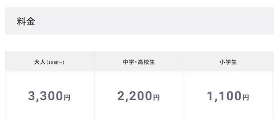 「ニンテンドーミュージアム」2024年10月2日オープン　チケットは抽選販売制