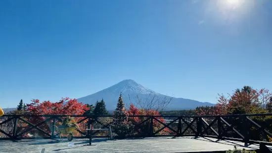 1人でも楽しめる!おすすめ日帰りバスツアー【新宿駅発編】