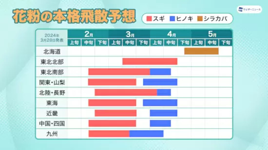 花粉の本格飛散は4月中旬まで、スギからヒノキへ移行中　ウェザーニュース調査