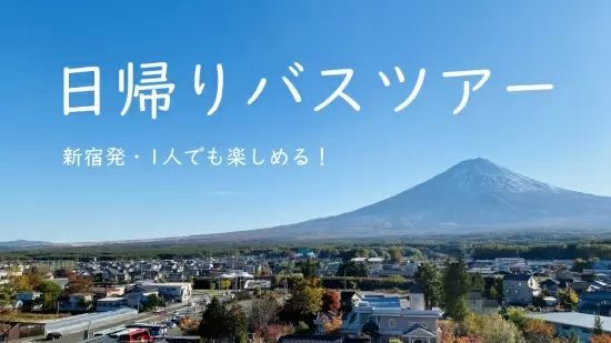 1人でも楽しめる!おすすめ日帰りバスツアー【新宿駅発編】