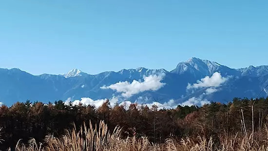 田舎でのんびり起業、成功のコツは二つ！