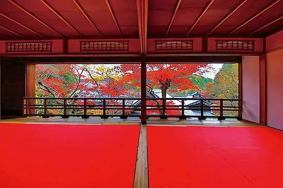 京都・長岡京市の「柳谷観音」で紅葉イベント、SNS映えの“花手水”発祥の地！