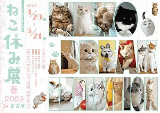 “ねこまみれ”のひと時を　「ねこ休み展」が名古屋で3年ぶりの春開催