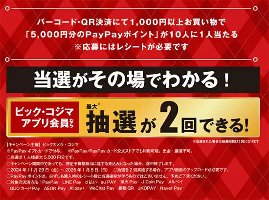 ビックカメラとコジマ、1000円以上の買い物で10人に1人、「5000円分のPayPayポイント」が当たるキャンペーン