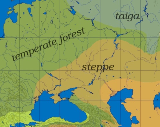 現代ウマの起源は「約4200年前のロシア南西部」と明らかに