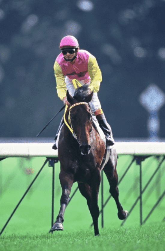 天皇賞（春）の極め穴馬を元JRAレジェンドが激推し！ 「自分が乗るならこの馬でタイトルホルダーを負かす」