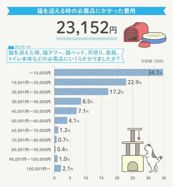 猫の一生にかかるお金は約264万円！「R＆Cマガジン」が飼い主3000人に調査