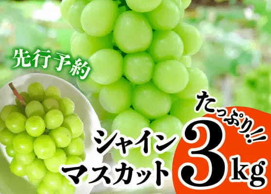 【2021年ふるさと納税】ぶどうランキング！還元率やコスパで比較