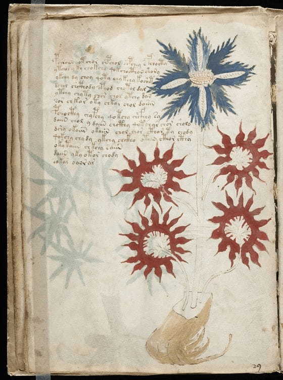世界最大の奇書「ヴォイニッチ手稿」のルーツを辿った結果…