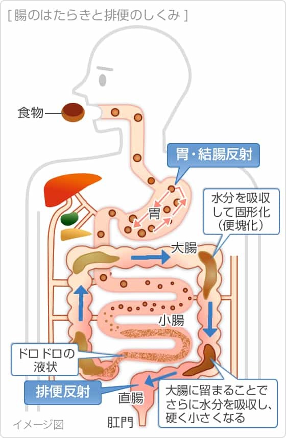 体臭が気になる！ニオイのチェック方法から改善・対策方法まで徹底解説！