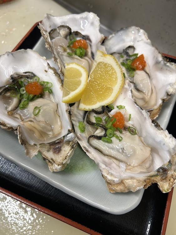 エンターテインメントな日本料理店『なみ三』で“すっぽん”や“クエ”などを堪能しよう！