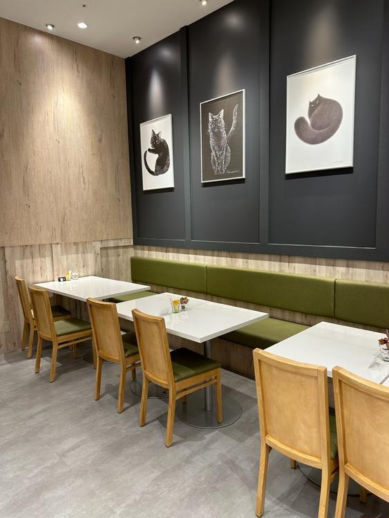 チョコレート専門店『CACAOCAT』がイーアス高尾にNEW OPEN！