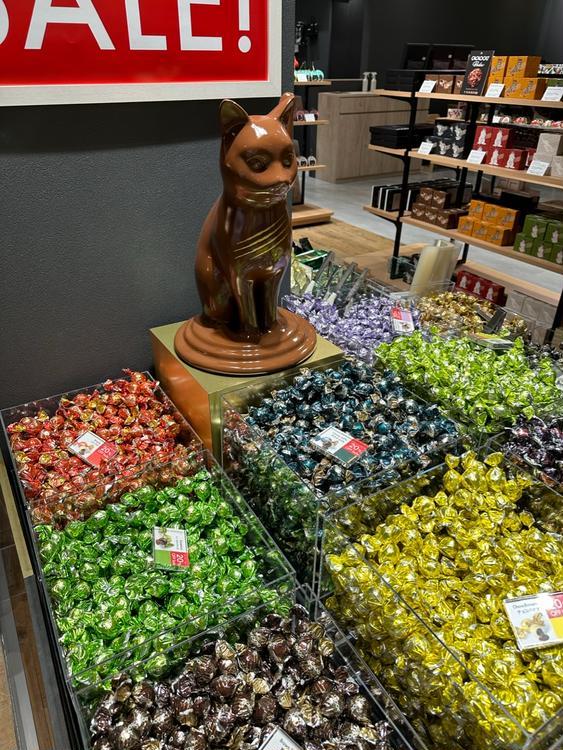チョコレート専門店『CACAOCAT』がイーアス高尾にNEW OPEN！