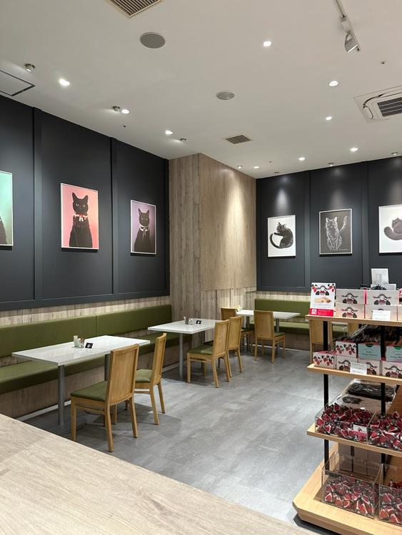 チョコレート専門店『CACAOCAT』がイーアス高尾にNEW OPEN！