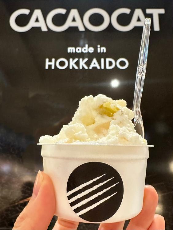 チョコレート専門店『CACAOCAT』がイーアス高尾にNEW OPEN！
