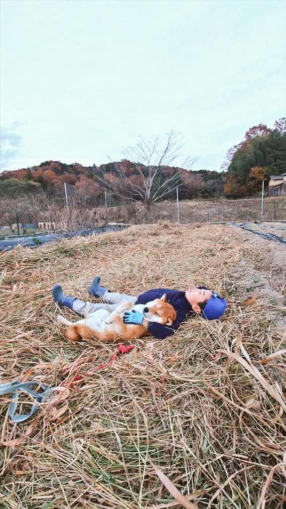 仲良くウトウト。藁の上で気持ちよさそうに横になる子供と柴犬の姿が話題に！「藁って何気に暖かい」「素敵な腕枕で幸せそう」