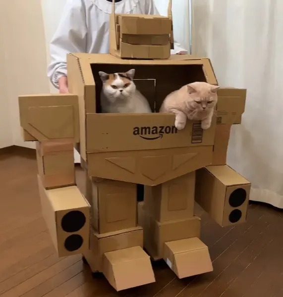 パイロットは猫　ダンボール製「未来のアマゾン配達ロボット」が勇ましい