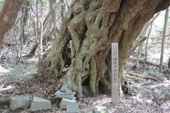 高知県の離島に行こう。宿毛市の「沖の島」がおすすめ！