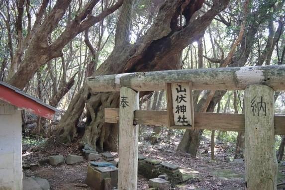 高知県の離島に行こう。宿毛市の「沖の島」がおすすめ！