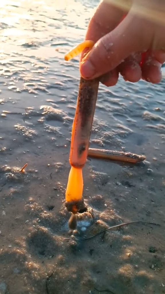 潮の引いた浅瀬の海岸で塩を盛ると・・。何をしているのかと見ていたらビックリ！砂の中から『ある生き物』がニョロっと飛び出てきました！！