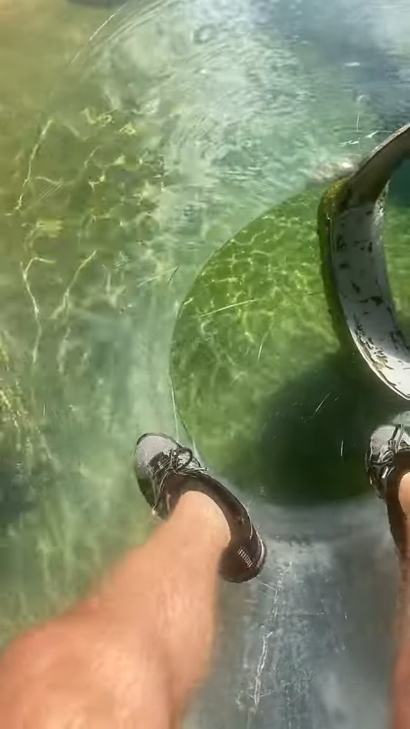 誕生日に最高の出会い！マイアミ動物園で水槽内から観察できるすべり台を進んでいくと・・、かわいいカワウソのレアな姿を発見！