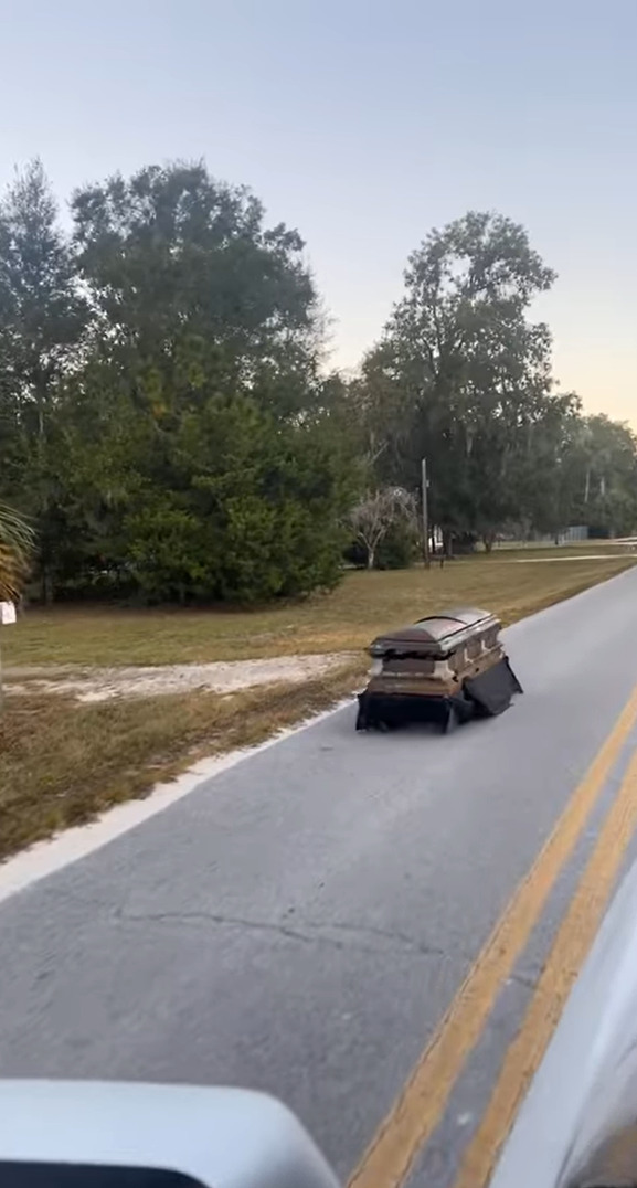 ハロウィンの季節だから？道路を走っていたら向かいから迫って来たものにビックリ！もしかしたらドラキュラがドライブしていたのかもしれません