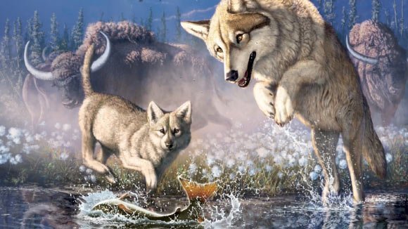 史上最古、オオカミの凍結ミイラを発見！5.7万年前から保存状態もパーフェクト（カナダ）